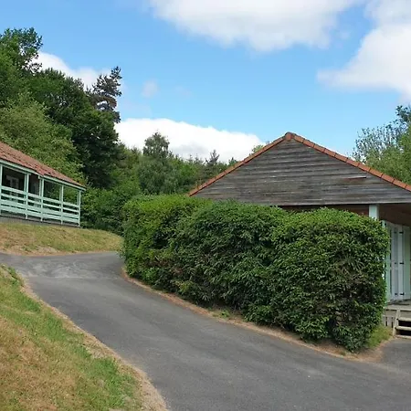 Chalet Aster 1 *