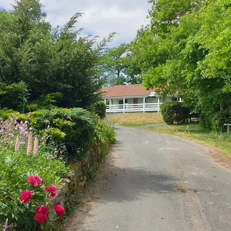 Chalet Aster 1 Chalet Blavignac